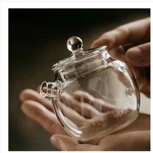免運【現貨特價】茶壺 玻璃小壺小巨輪養生泡茶壺耐熱玻璃帶蓋壺