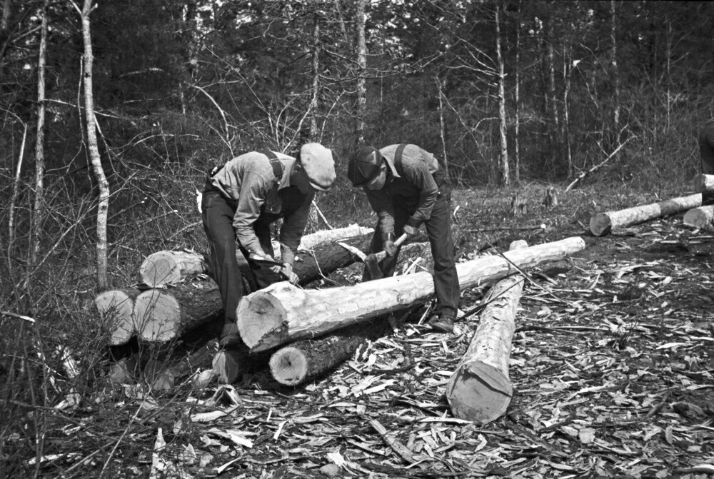 Posterazzi: Log Strippers 1936 Ntwo Carpenters Stripping Logs For ...