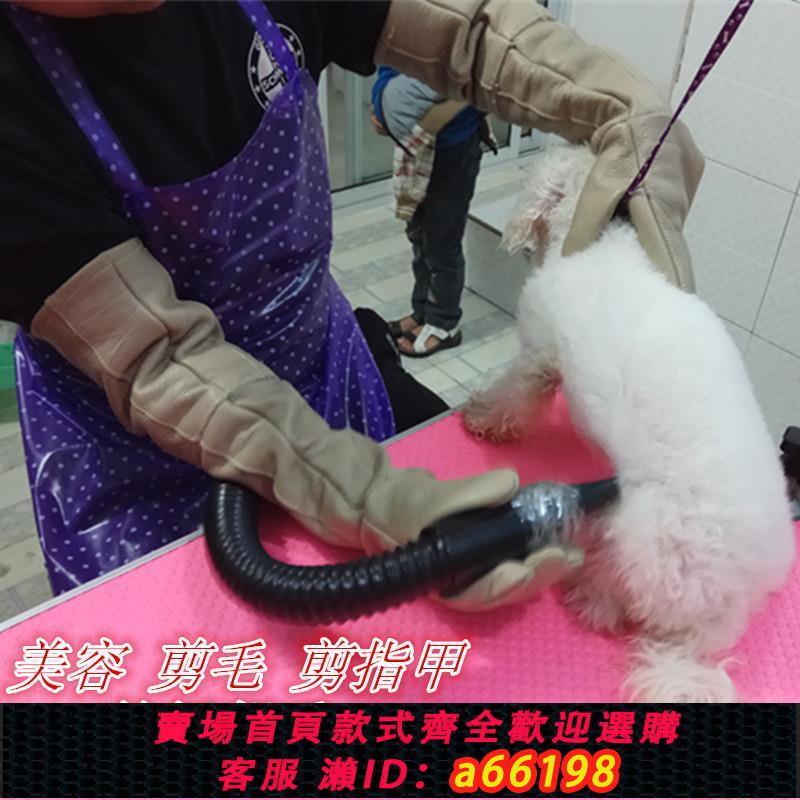 【臺灣公司 可開發票】防寵物動物倉鼠抓咬傷防護手套防貓抓手套防狗咬訓狗加厚牛皮手套