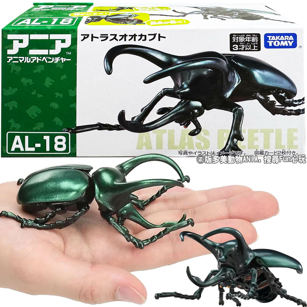 【Fun心玩】AN95700 AL-18 南洋大兜蟲 多美動物 ANIA 大型 昆蟲 模型 獨角仙 甲蟲 鍬形蟲