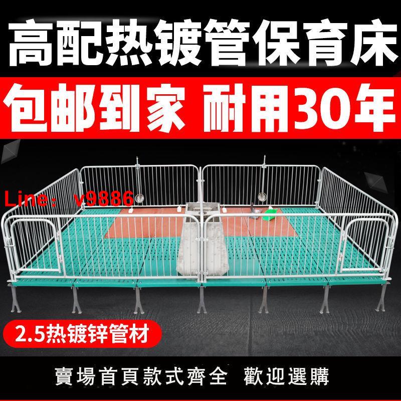 【臺灣公司 超低價】仔豬保育床高配熱鍍2.5保育欄母豬產床定位欄養殖場養豬裝置包郵