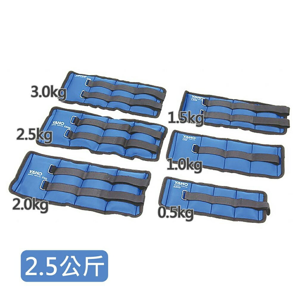 來而康 耀宏 YH254-4 運動健身用 沙袋 2.5公斤 沙包 負重沙袋 沙包袋