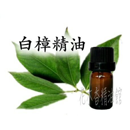 花木香精油館-白樟精油 / 白樟 樟木 精油 / 10ml、 100ml