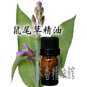 花木香精油館-鼠尾草精油 / 鼠尾草 / 10ml 、30ml、 50ml