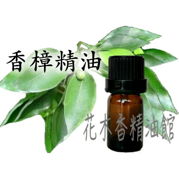 花木香精油館-香樟油 / 香樟精油 / 香樟 / 10ml、 100ml