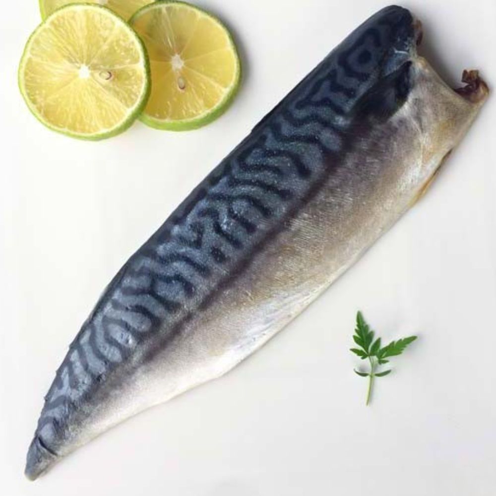 【8片優惠免運組】挪威薄鹽鯖魚 (520克±10%/4片/包) 海鮮 生鮮 挪威 薄鹽 鯖魚 必烤 熱銷 快速到貨 限時 限量 搶購 免運 5