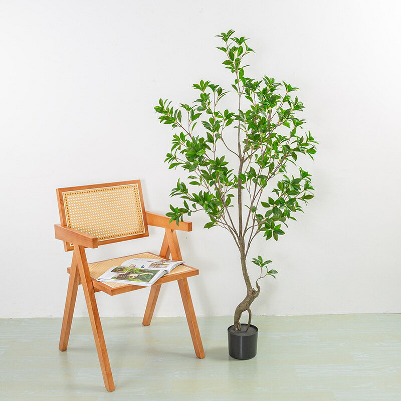 模擬綠植 發財樹 仿真植物 盆栽 盆景廠家生產模擬綠植馬醉木室內裝飾擺件假綠植盆栽仿真植物防生假樹