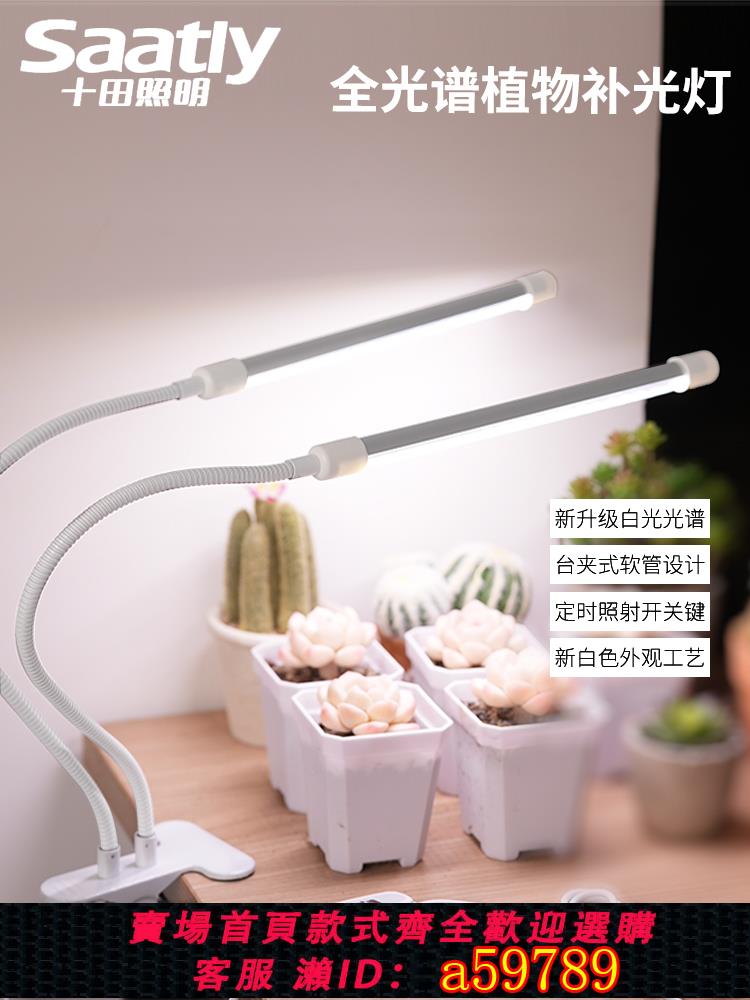 【臺灣公司 可打統編】LED全光譜多肉補光燈植物生長燈上色仿太陽定時家用USB夾子式補光