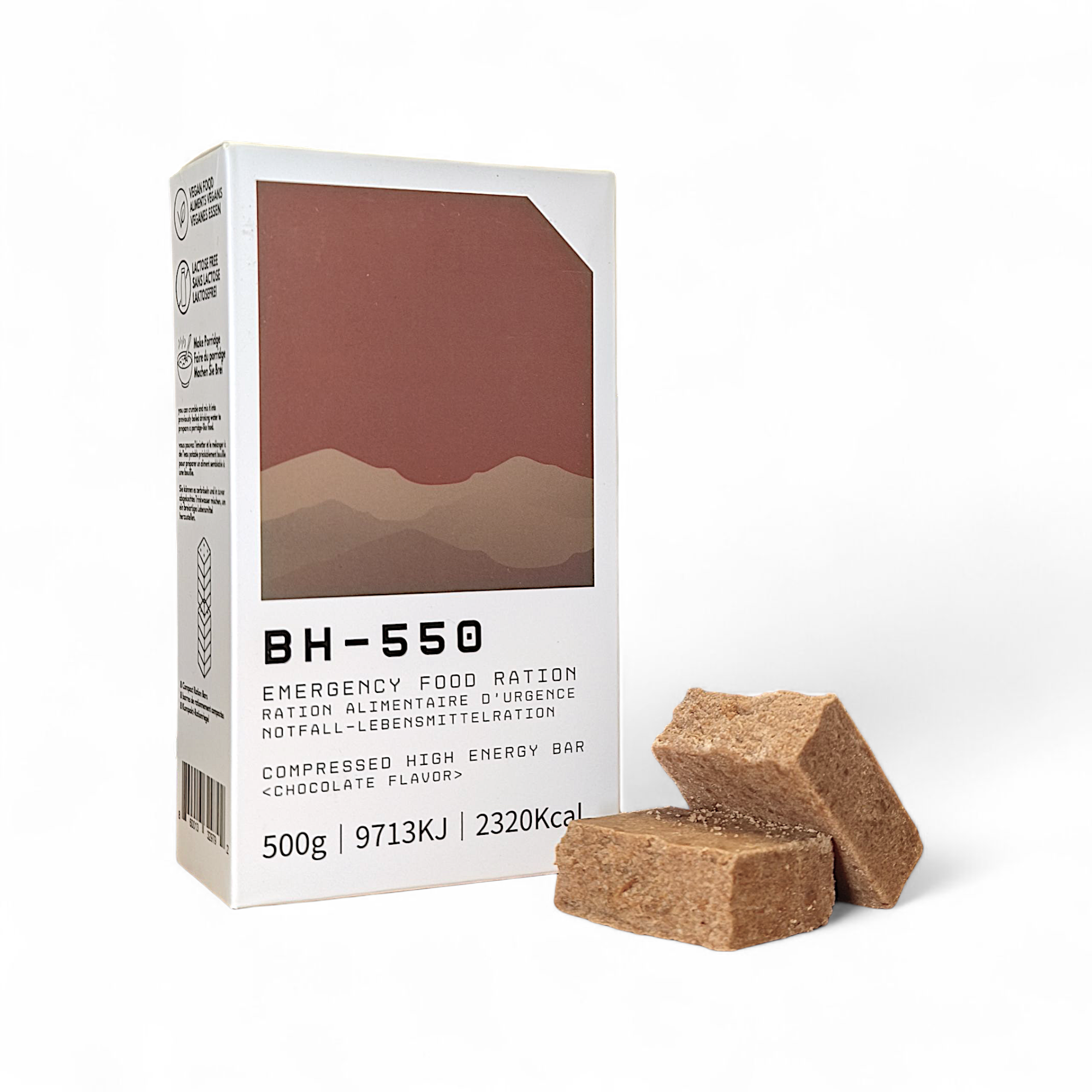 純素食防災20年保存美國製BH-550 巧克力戰備口糧500公克