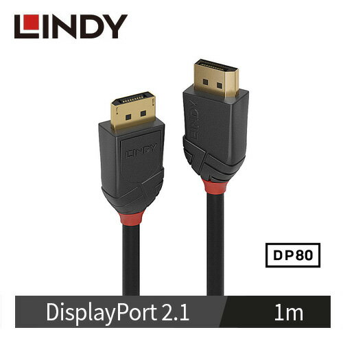 LINDY林帝 BLACK LINE DP 2.1版 80G 公 to 公 傳輸線, 1m