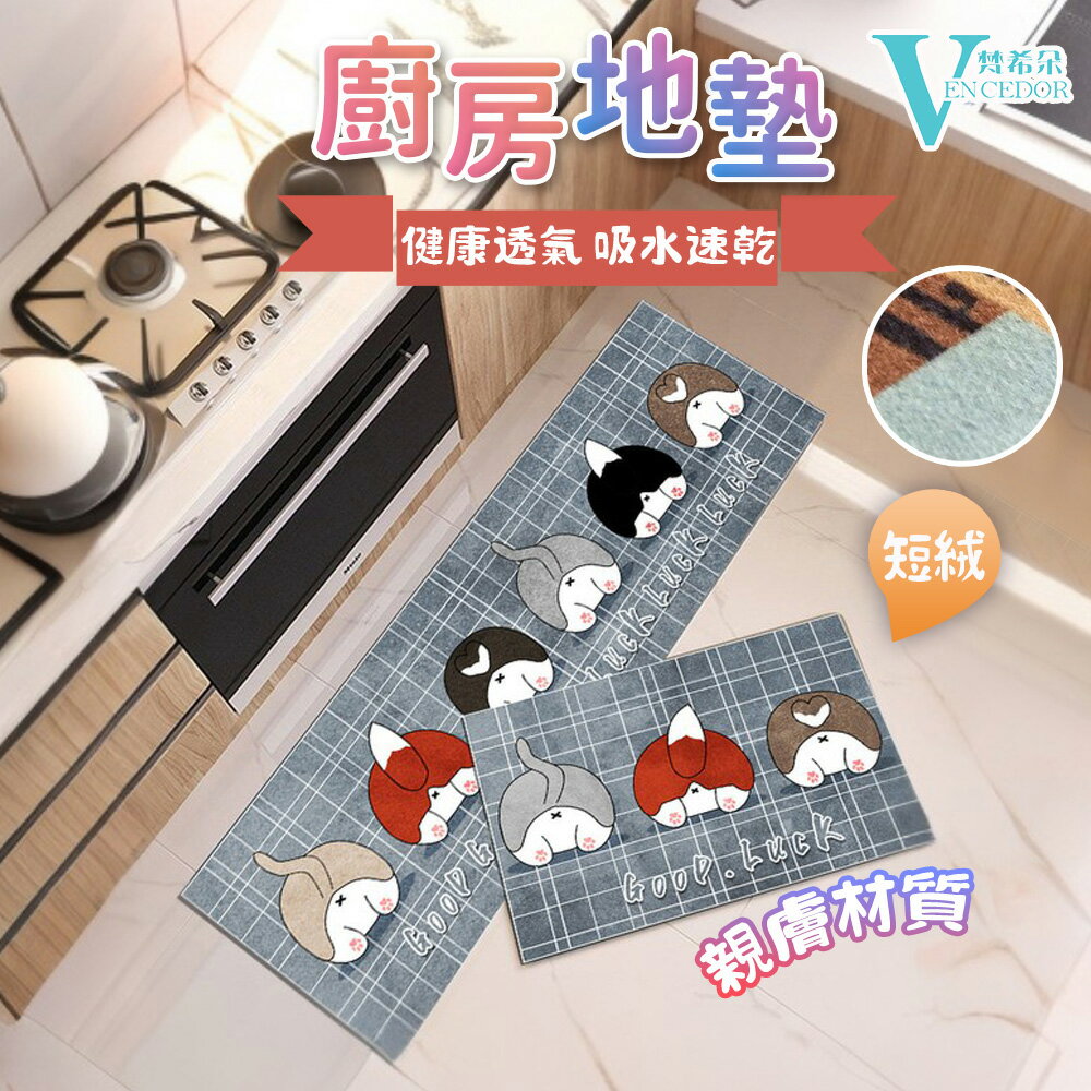 防滑耐髒地墊 (二款可選 60x40 及 120x40公分) 門前踏墊【VENCEDOR】臺灣現貨 499免運