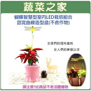 【蔬菜之家004-J10】蝴蝶智慧型室內節能LED栽培組合-窈窕曲線造型盆(不含作物)