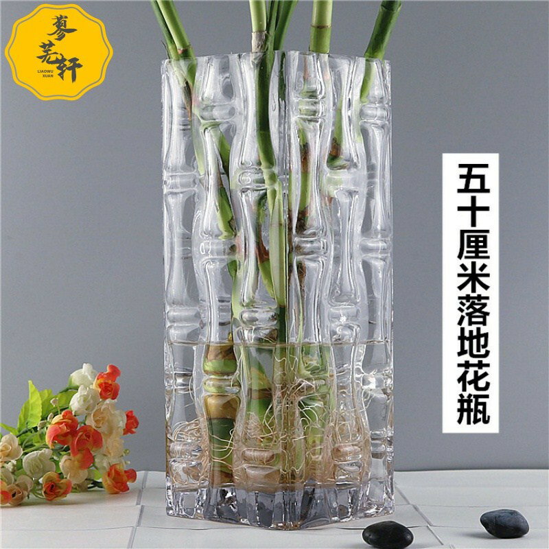 特大號方形花瓶玻璃透明高50cm插花大號客廳擺件水培富貴竹落地