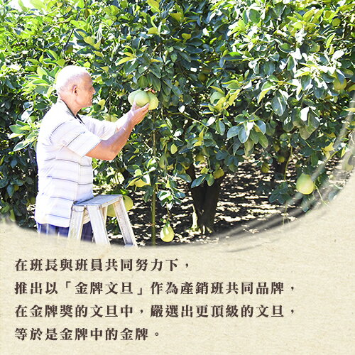 《預購專案》9/12開始配送【鮮果日誌】瑞穗頂級金牌文旦(10台斤禮盒裝)