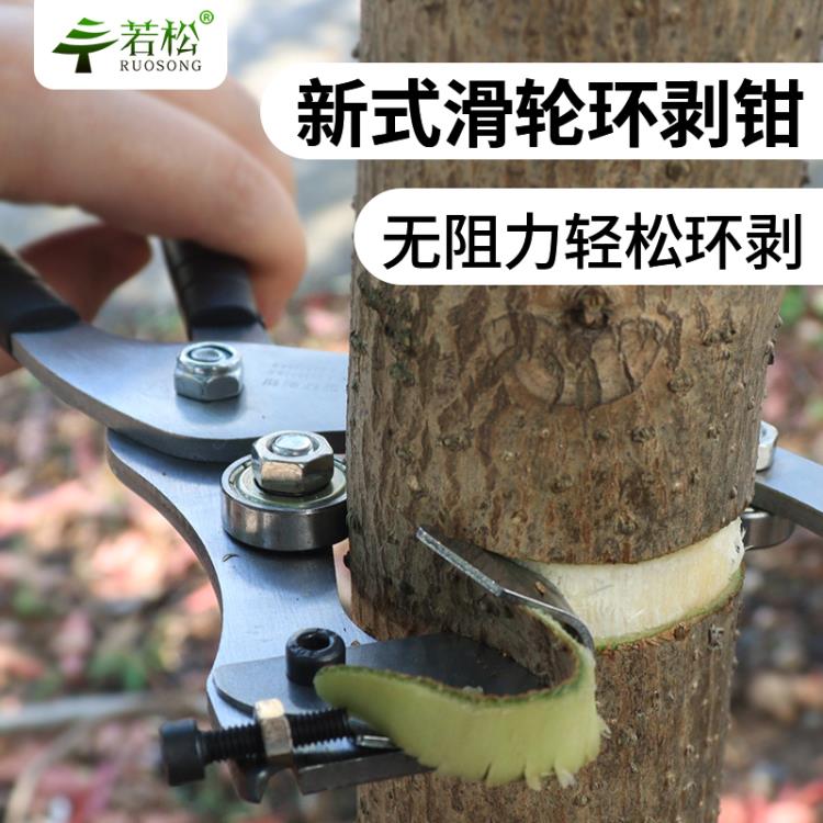 新型環剝鉗棗樹環剝工具 剝皮刀 開甲器割樹皮果樹 環割剪【摩可美家】