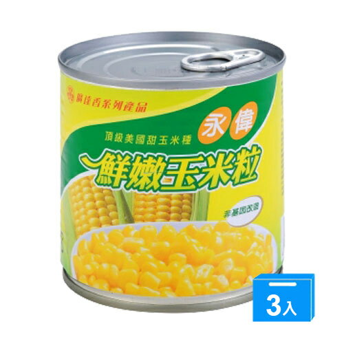 永偉易開罐玉米粒340g*3罐【愛買】