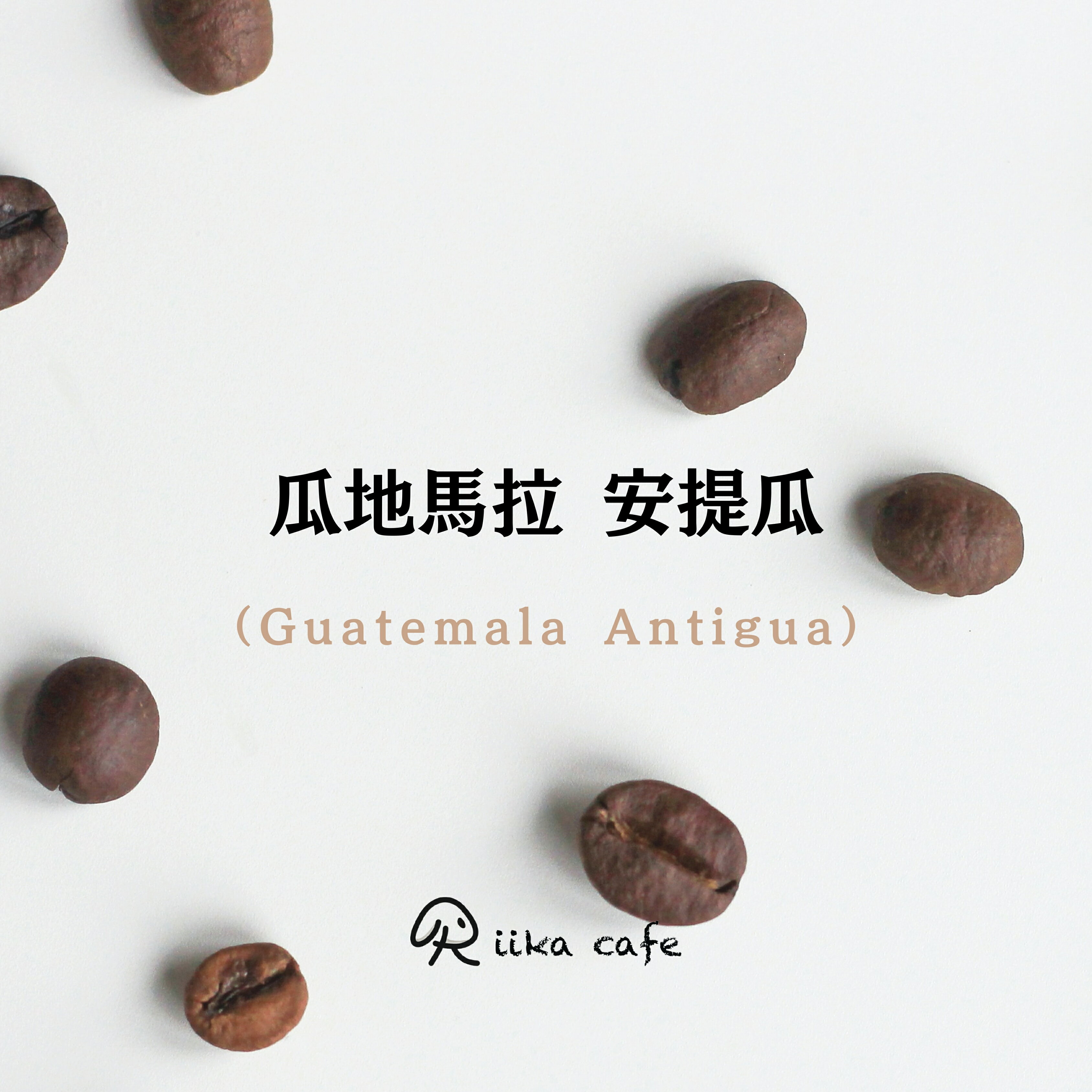 瓜地馬拉 安提瓜  中焙咖啡豆