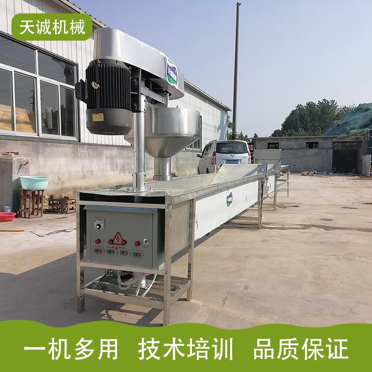 【臺灣公司 可開發票】天誠機械供應全自動整套土豆粉條機 不銹鋼寬粉裝置操作影片