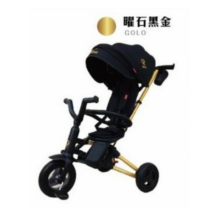 德國 QPlay Nova Rubber 多功能兒童手推車/黑金★衛立兒生活館★ 1