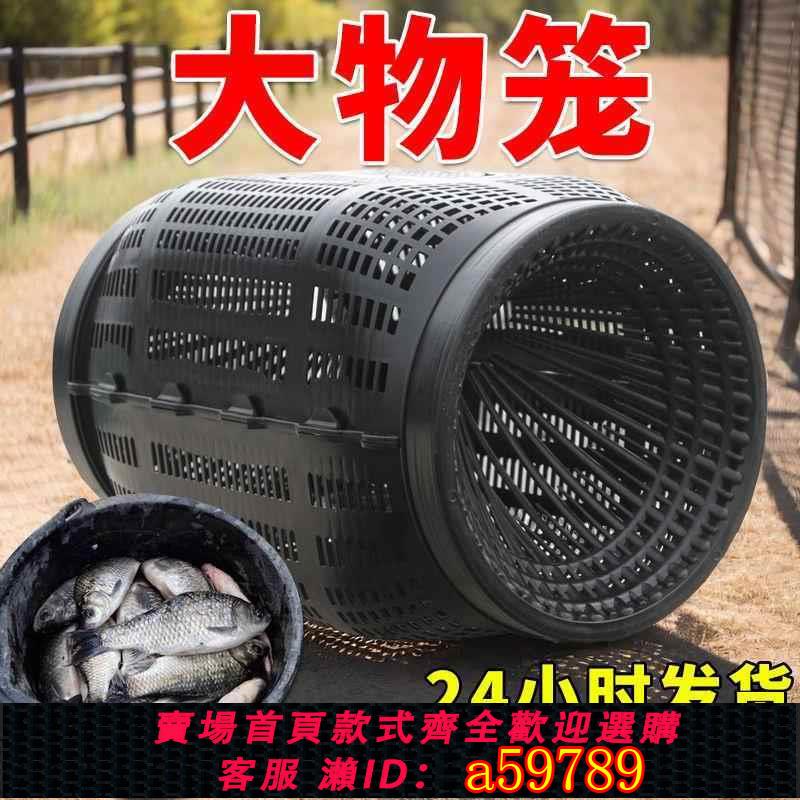 【臺灣公司 可打統編】捕大魚魚籠折疊魚網只進不出漁網黃鱔泥鰍蝦籠龍蝦網籠螃蟹捕魚籠