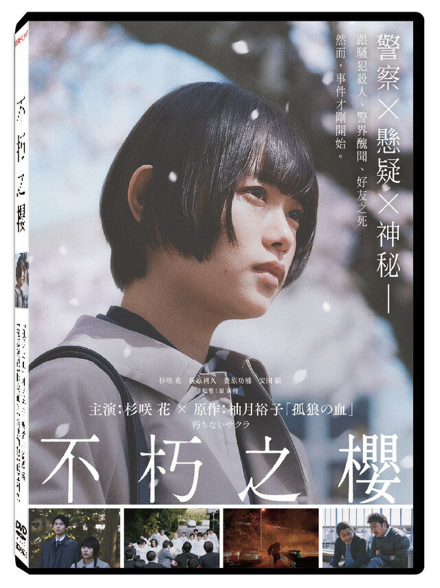 【停看聽音響唱片】【DVD】不朽之櫻
