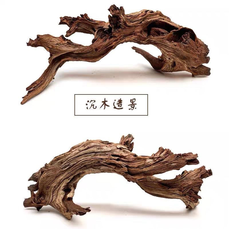 攀爬木鬃獅蜥曬臺捷角守宮蛇躲避飼養箱造景天然枯木樹枝沉木182YJ 公司貨