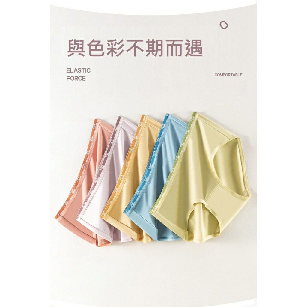 ✨台灣現貨📦 四季全棉內褲 薄款內褲 莫代爾內褲 60支 無痕內褲 涼感內褲 中腰內褲 女性內褲 丹丹悅生活 2