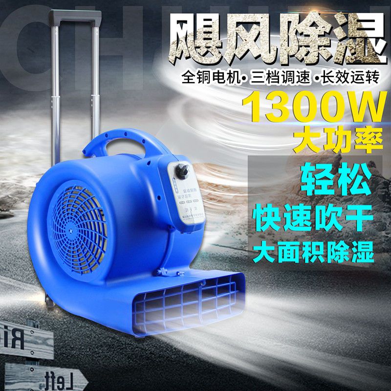 220V吹地機 地面吹乾機 地面風幹機 酒店地毯吹毯機 公共衛生間地面幹地機 通風機 家用除濕 全館免運