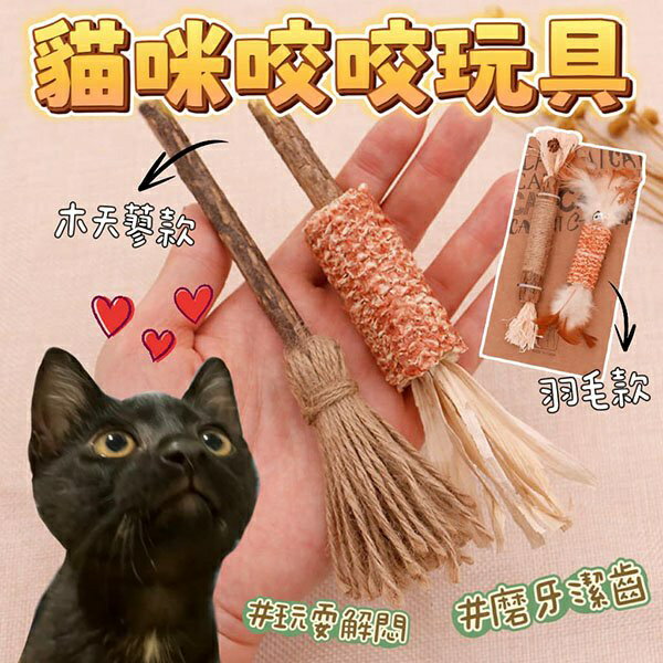 『台灣x現貨秒出』木天蓼/羽毛款 貓咪啃咬玩具 貓貓玩具 寵物玩具 木天蓼玩具 羽毛玩具