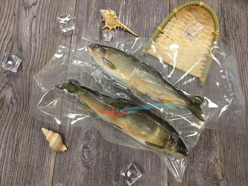 【九江水產】宜蘭黃金爆卵母香魚(160±10g/尾)---綿密細緻的嗶嗶啵啵魚卵---✦開幕慶滿1800元免運中~~~✦【附發票】