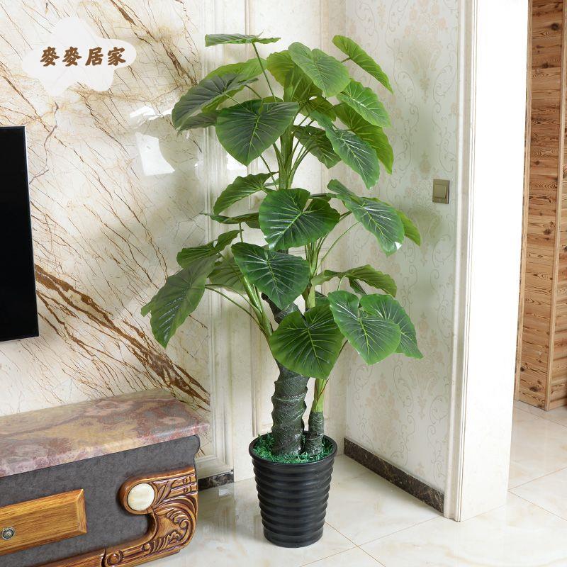 假樹滴水觀音 模擬綠植 假植物大型盆栽客廳辦公室內假花落地式裝飾[DD0329003]