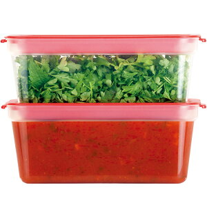 《TESCOMA》Purity可微波保鮮盒2入(紅300ml) | 收納瓶 儲物罐 零食罐