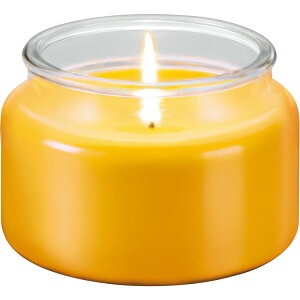 《TESCOMA》香氛蠟燭(檸檬草200g) | 薰香 精油 擴香