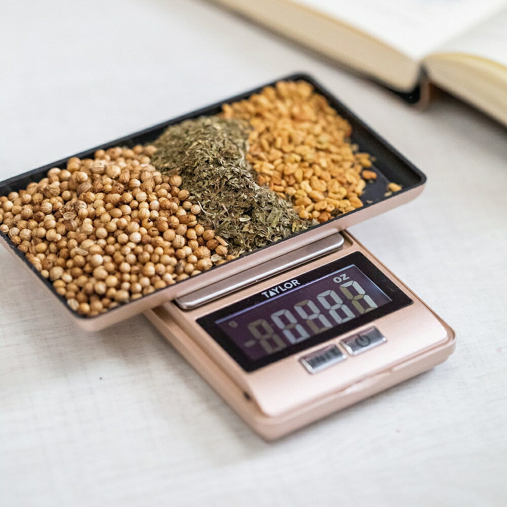 《Taylor》便攜式料理電子秤(500g) | 料理秤 食物秤 烘焙秤【領券滿額再折千9/30止】