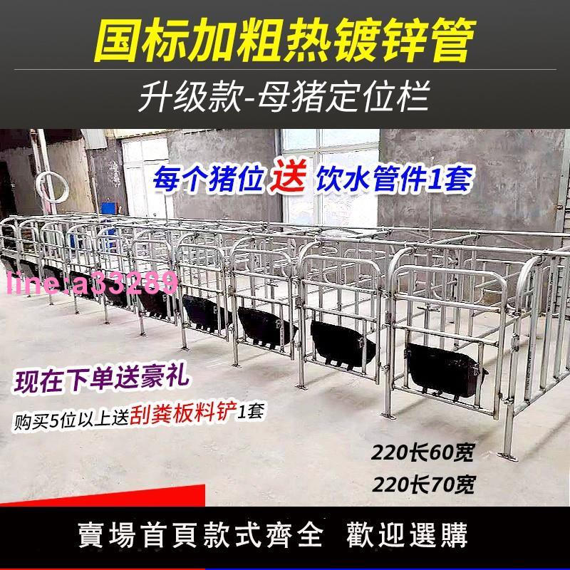 {可開發票}母豬定位欄加厚熱鍍鋅養豬裝置產床落地復合漏糞板母豬限位欄