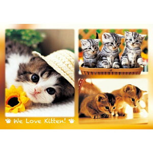 HC - 300S-008臺灣製300片優質拼圖 - We Love Kitten