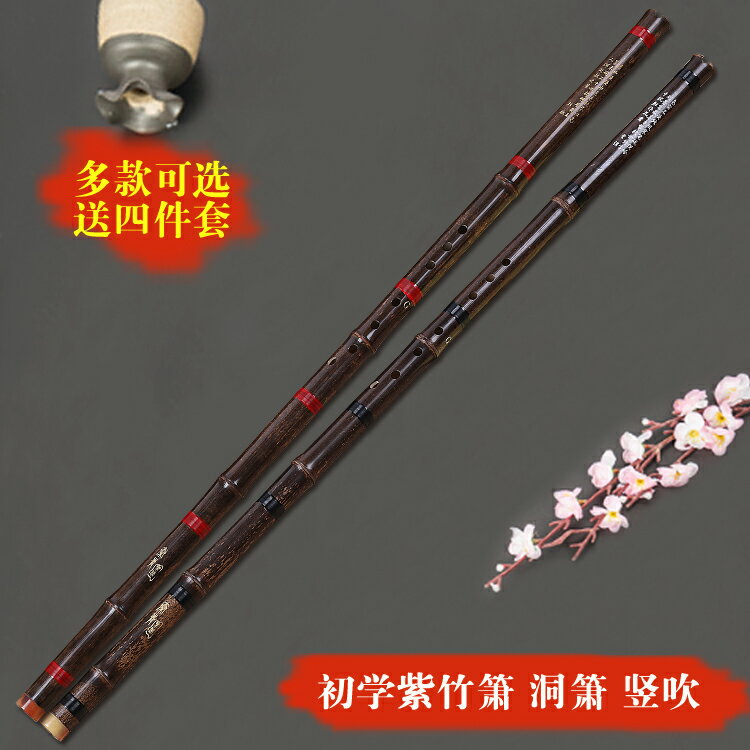 蕭樂器初學入門成人零基礎玉蕭古蕭長蕭紫竹簫古風洞簫八孔g調f調