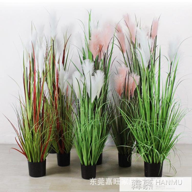 北歐綠植模擬蘆葦盆栽乾花假花道具水生植物蒲葦裝飾落地盆景擺件【摩可美家】
