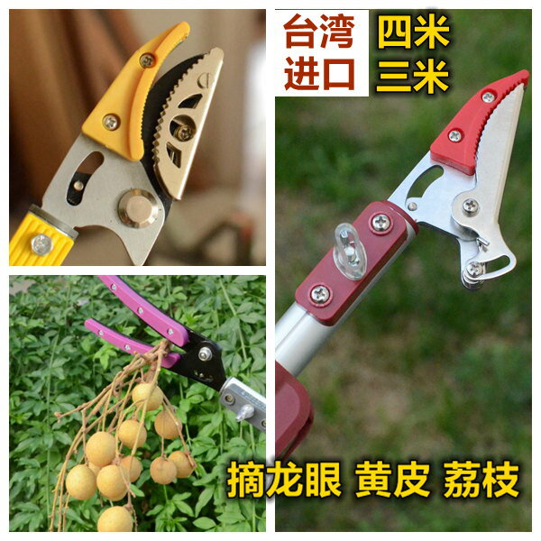 高枝剪/摘果器 摘果器高枝剪鋸日式伸縮3米4米5米高空剪採果龍眼剪荔枝柿子修枝【HZ64842】