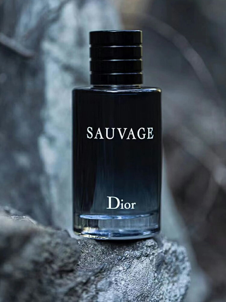 Dior/迪奧曠野香水EDT男士清新淡香持久Sauvage狂野濃香調禮盒裝-樂購