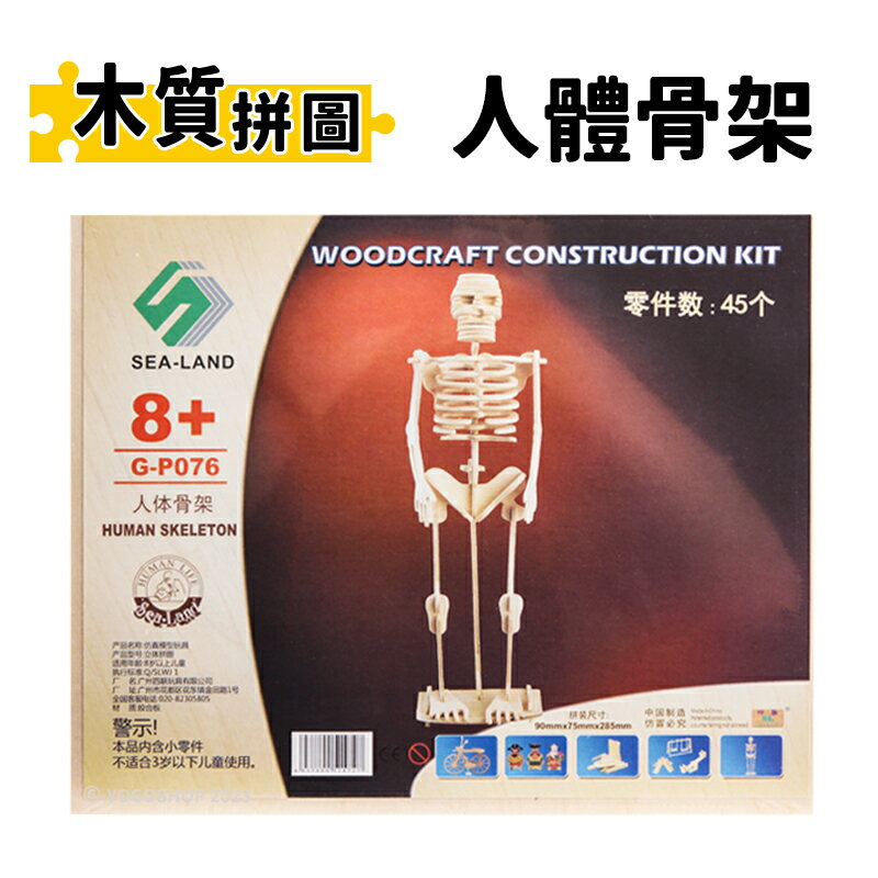 DIY木質拼圖 人體骨架 G-P076 /一個入(促49)B2 四聯木製拼圖 3D立體拼圖 3D拼圖 木製模型 骨骼模型