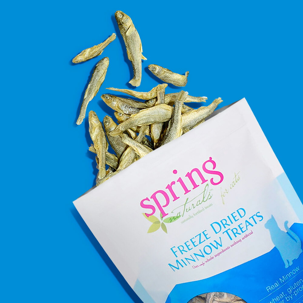 【Spring Naturals 曙光】米諾魚 全齡貓點心 冷凍乾燥 無穀 單一肉類 美國製造 凍乾點心 0.7oz 1