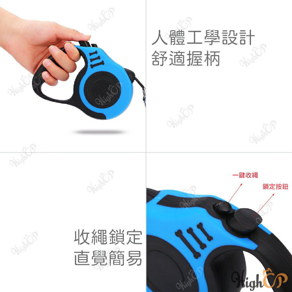 5米 寵物自動伸縮牽引繩 寵物牽繩 伸縮牽繩 伸縮狗繩 自動牽引繩 外出繩 伸縮繩 伸縮拉繩【23030129】 5