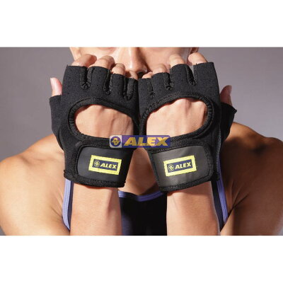 ALEX 丹力 訓練手套 健身手套 A-05 重量訓練 手套 舉重手套【大自在運動休閒精品店】