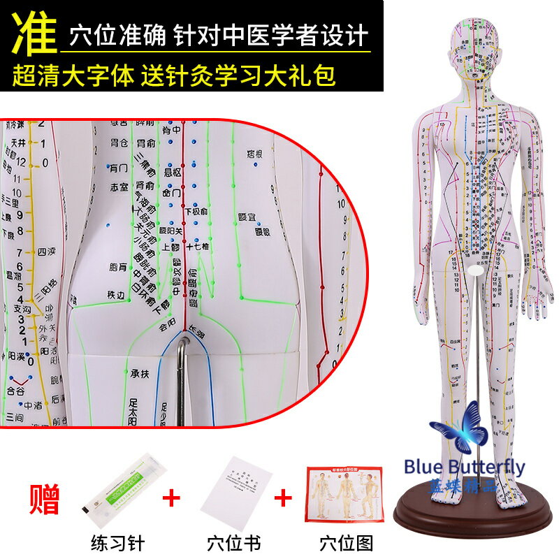 {可打統編 保固一年}針灸人體模型醫用扎針練習小皮人十二經絡穴位圖模特軟膠扎針練習 0