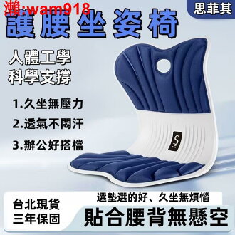 【店長推薦】學坐墊 美臀坐墊 護背墊 靠背 靠墊 護背墊 靠背護背坐墊 | 寶承齋百貨 | 樂天市場Rakuten