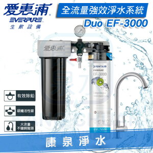 ◤免費安裝◢ EVERPURE 台灣愛惠浦全流量強效碳纖維系列雙管淨水設備 PURVIVE-Duo EF-3000