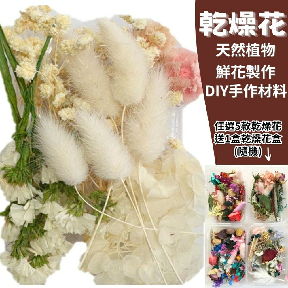 【A-ONE】DIY繽紛天然乾燥花 浩白如雪 花材 花藝材料包 浮游花 永生花 浮油花 手腕花 乾燥花 A08