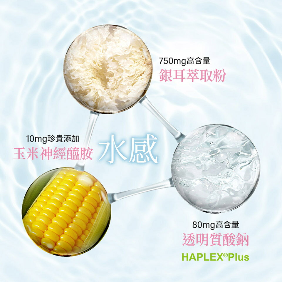 【香港配送】Veggie Care 妳的植感美姬粉 100%純素X12種美容精華 4