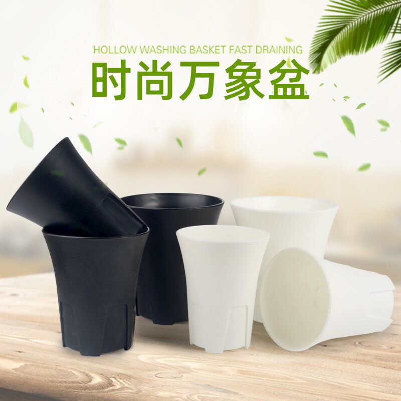 多肉花盆陽臺家庭園藝植物育苗盆加厚塑膠圓形控根盆玉露永珍盆